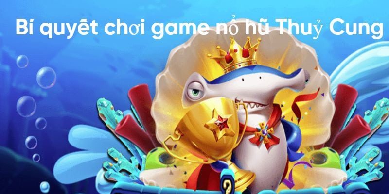 anh-dai-dien-no-hu-thuy-cung-nhat-vip